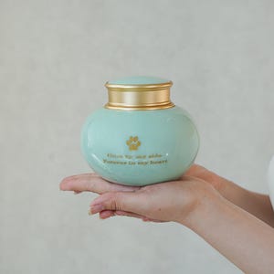 Pet Urn , Premium Ceramic Pet Cremation Urn with Golden Lid, Memorial Urn for Dogs and Cats, Keepsake for Ashes，750ml (25.36oz)