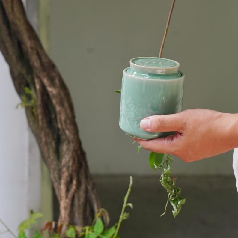 May include: A light green ceramic jar with a lid, held in a hand. The jar has a floral pattern and a cylindrical shape. The background includes a tree trunk and foliage.