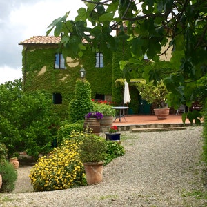 Tuscany vineyard photo