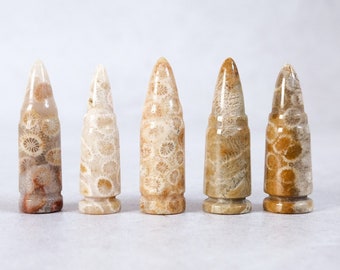 Coral Fossil Bullet | Coral Jasper Crystal Bullets