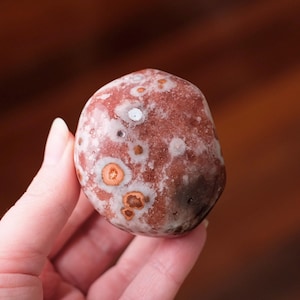 Può includere: Una pietra levigata e arrotondata con un colore di base bruno-rossastro caratterizzato da distinti motivi circolari e macchie nei toni del bianco, crema e arancione più scuro. La superficie della pietra è liscia e presenta una texture naturale.