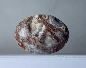 Crazy Lace Agate Palm | Mexican Crazy Lace Crystal Palm