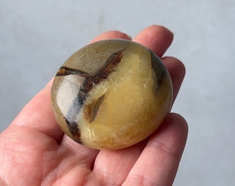 Septarian Palm | Dragon Septarian Crystal Palmstone