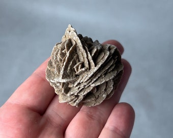 Desert Rose Selenite Specimen | Rose Gypsum Raw Crystal