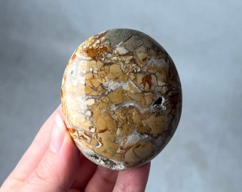 Ibis Jasper Palm | Brecciated Jasper Crystal Palmstone