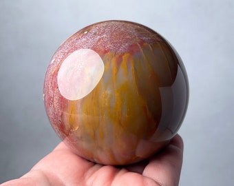 Petrified Wood Sphere | Fossilized Wood Crystal Sphere