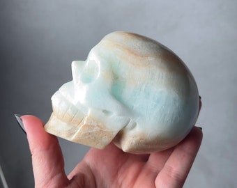 Caribbean Calcite Crystal Skull | Blue Calcite & Aragonite Skull