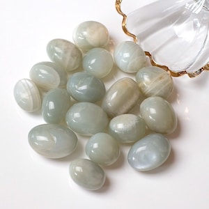 Sage Moonstone Tumbles | Silky Green Moonstone Tumbled Crystal