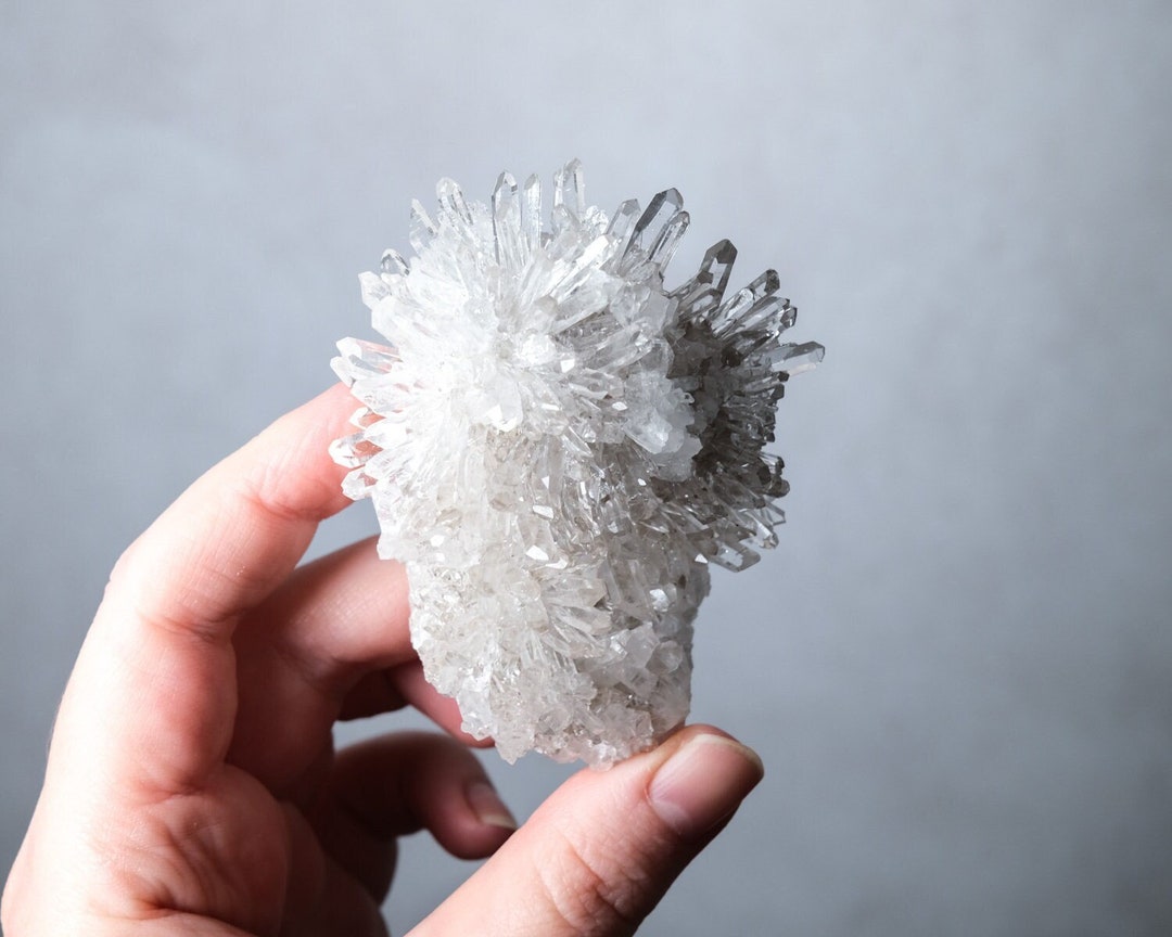 Chrysanthemum Quartz Cluster Clear Quartz Specimen Etsy