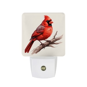 Cardinal Night Light