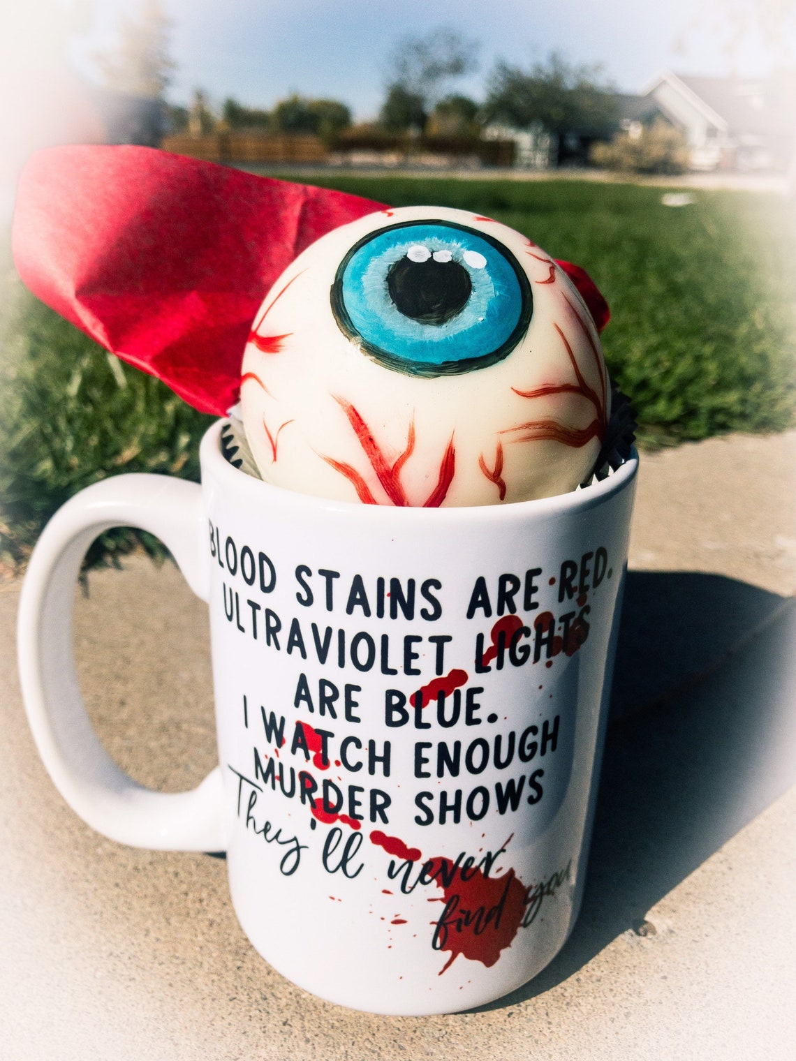 cocoa bomb mugs