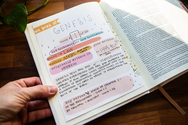 May include: A close-up of a Bible open to the book of Genesis. The page is filled with handwritten notes about the book, including the genre, author, year written, and key verses. The notes are written in colourful markers on a white background.