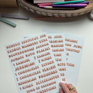 May include: A white sheet of paper with the names of books of the Bible printed in black and orange. The names are arranged in two columns. The paper is folded in half.