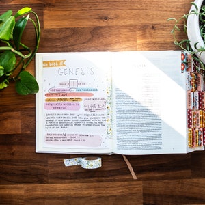 May include: An open Bible with the book of Genesis highlighted. The page includes handwritten notes about the book, including the author, Moses, and the year it was written, 1445 B.C. The Bible is on a wooden surface with a potted plant to the left and right.