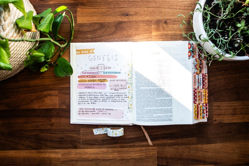 May include: An open Bible with the book of Genesis highlighted. The page includes handwritten notes about the book, including the author, Moses, and the year it was written, 1445 B.C. The Bible is on a wooden surface with a potted plant to the left and right.