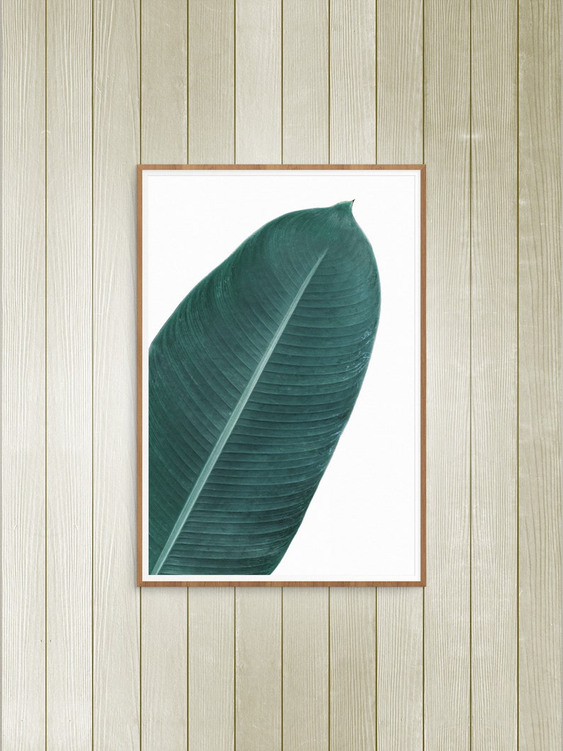 Banana Leaf Wall Art Botanical Print Wall Decor Minimalist Etsy