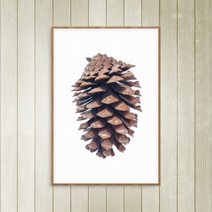 Pine Cone Wall Art, Botanical Print, Wall Decor, Minimalist Print, Xmas, Winter, Digital Art, Digital Download, Prints
