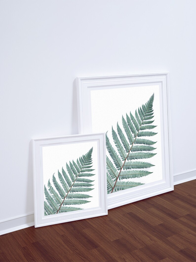 Silver Fern Wall Art Botanical Print Wall Decor Minimalist Etsy