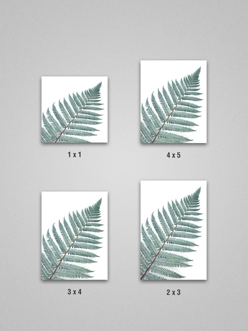 Silver Fern Wall Art Botanical Print Wall Decor Minimalist Etsy