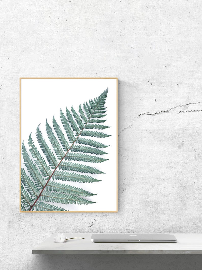 Silver Fern Wall Art Botanical Print Wall Decor Minimalist Etsy