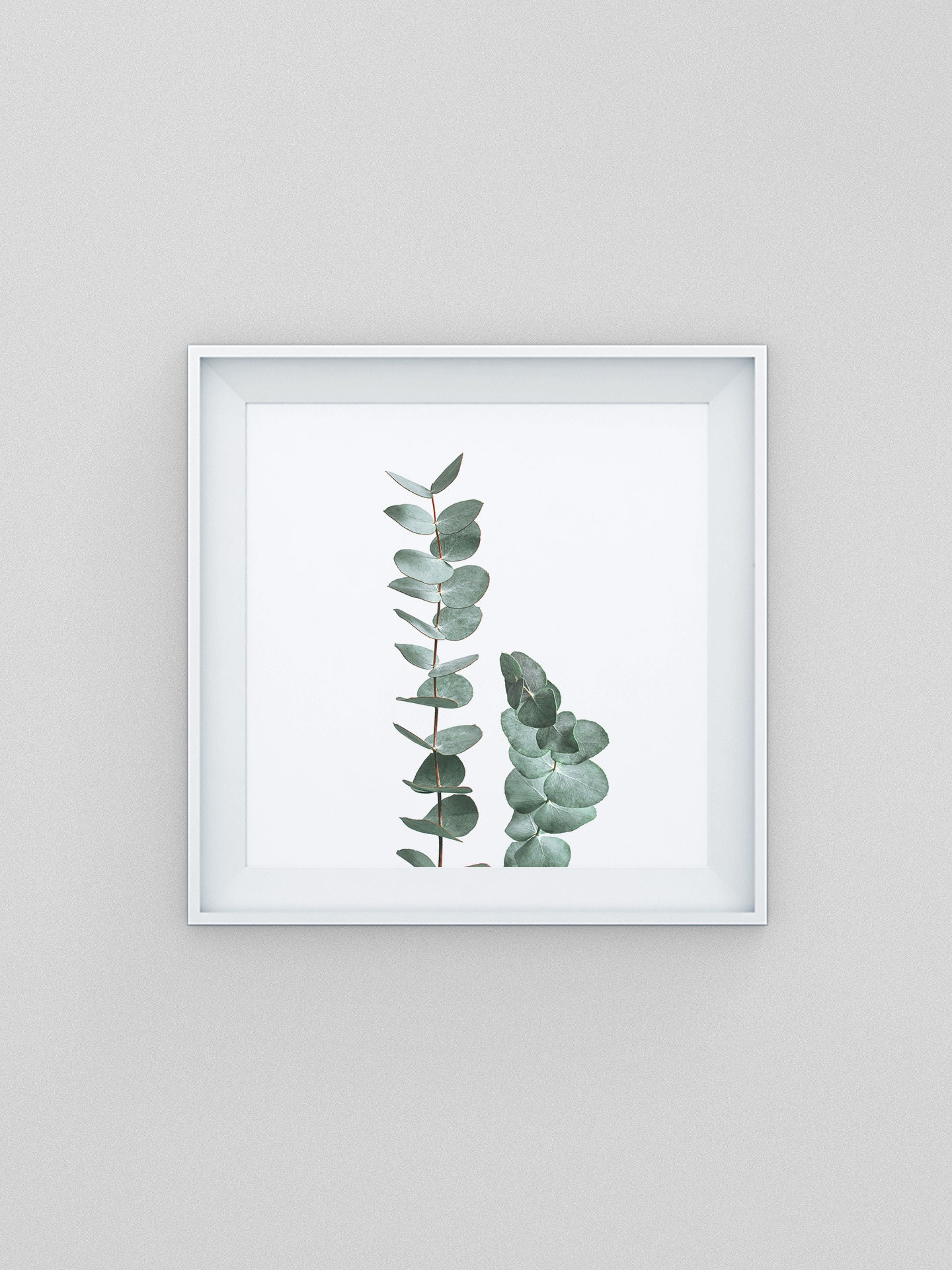 Eucalyptus Wall Art Botanical Print Wall Decor Minimalist Etsy Singapore