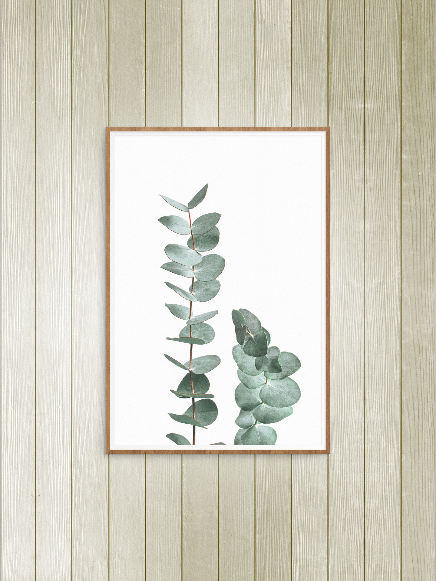 Eucalyptus Wall Art Botanical Print Wall Decor Minimalist Etsy Singapore
