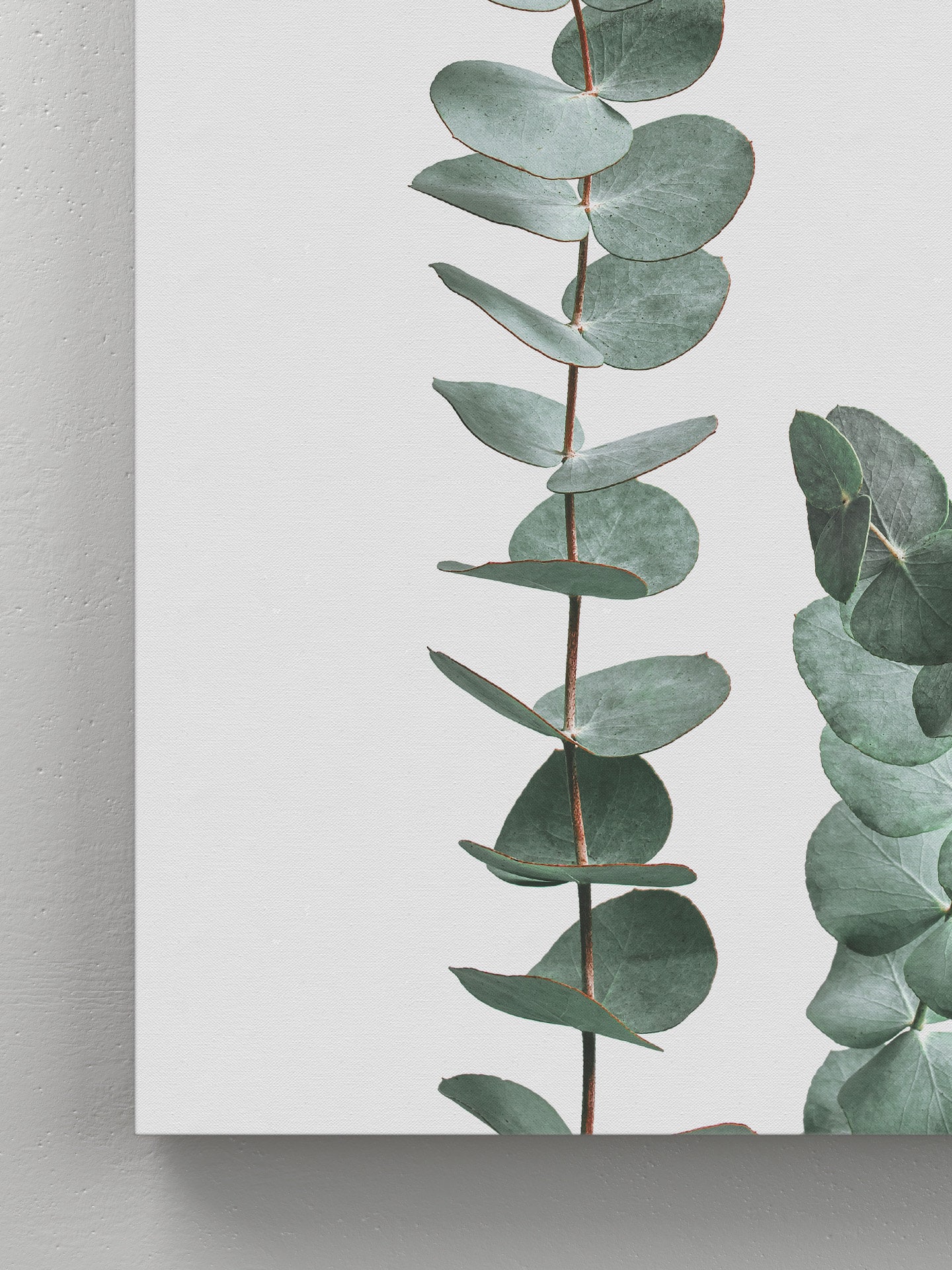 Eucalyptus Wall Art Botanical Print Wall Decor Minimalist Etsy Singapore
