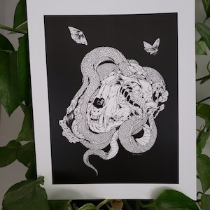 Snake and Bobcat Print