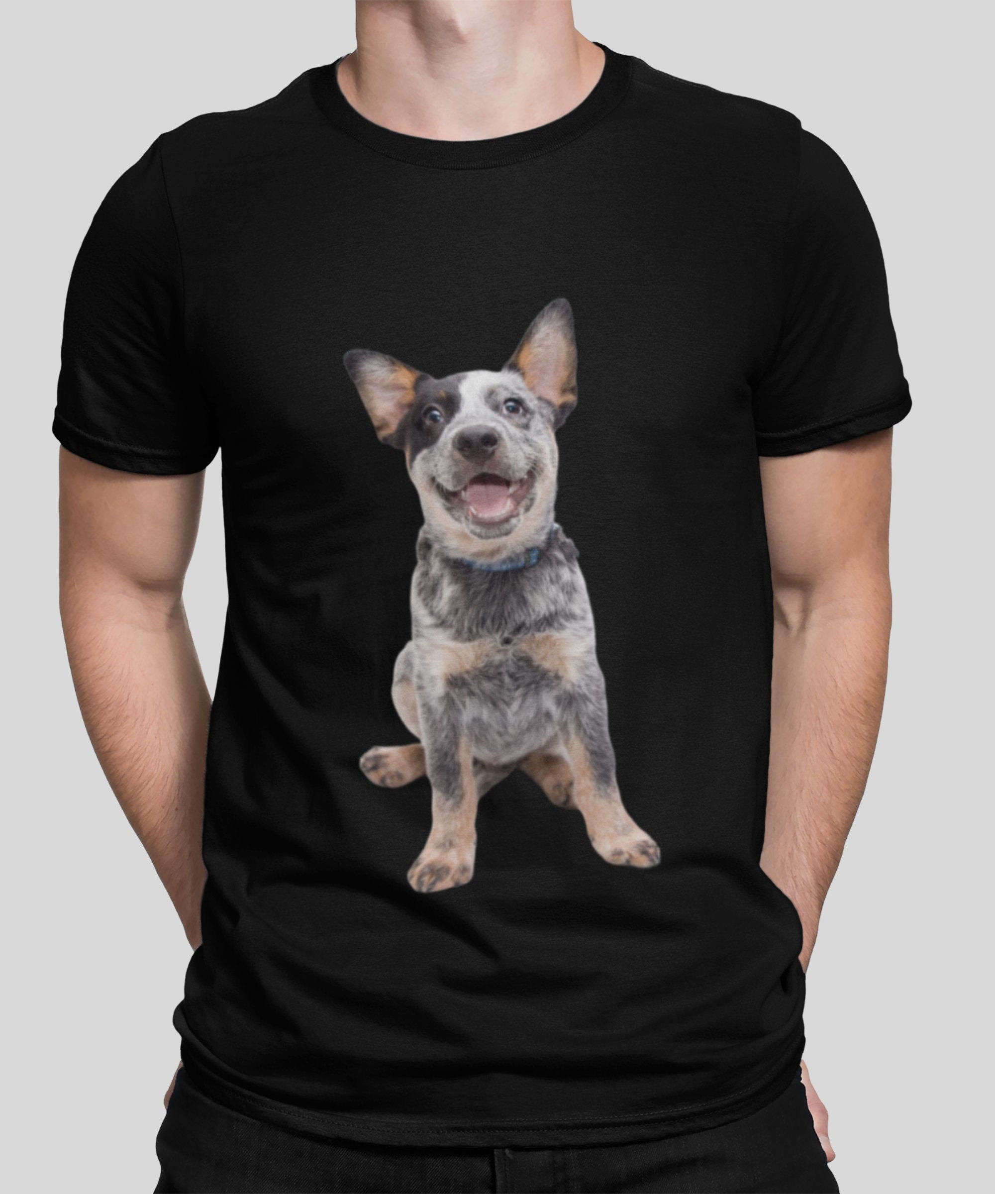 Australian Cattle Dog Dad or Dog Mom 