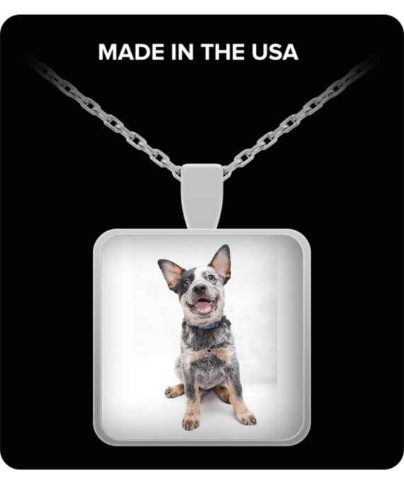 blue heeler necklace