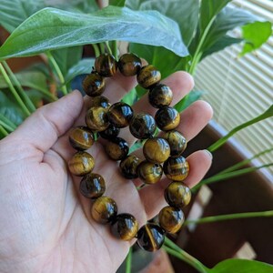 Large Bead Tiger's Eye Sensory Item
