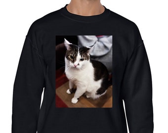 dog medical shirt