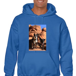 May include: A bright blue hooded sweatshirt featuring a rectangular graphic print on the chest. The print displays two dogs standing on orange rock formations under a clear blue sky. One dog is speckled gray and white, while the other is solid black.