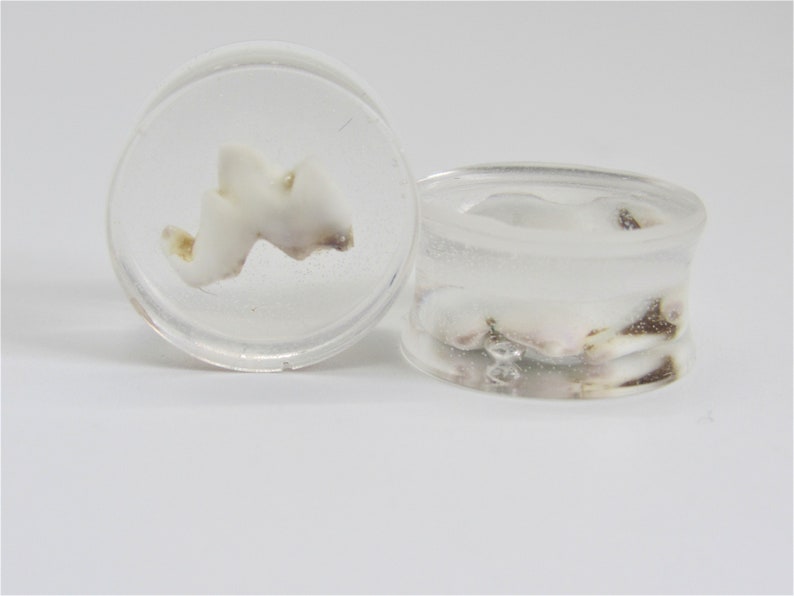 Bone Body Jewelry Tooth In Resin Gauge Plugs Earrings Size 18mm-1116 Clear Resin Real Tooth Plug Earrings Bone Resin Plugs Goth Plugs
