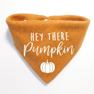 May include: Orange and white dog bandana with the text "Hey there pumpkin" and a white pumpkin graphic.