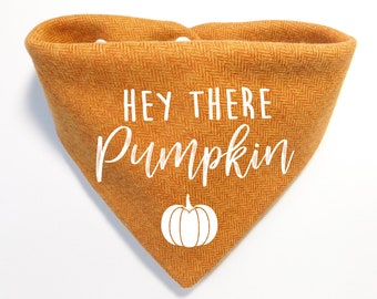 Fall Dog Bandana - Hey There Pumpkin puppy Scarf - Thanksgiving Dog Bandana - Whoa Dog E