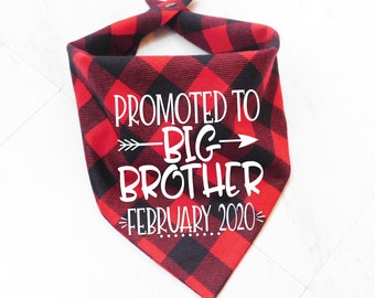 Promoted to Big Brother Dog Bandana - Big Brother Dog Bandana - Pregnancy Announcement Dog Bandana - Whoa Dog E