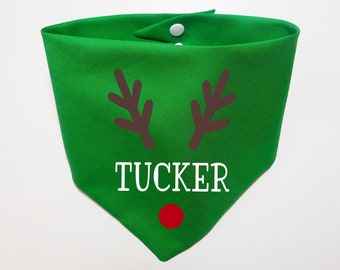 May include: Green dog bandana with a reindeer face design, including antlers, a red nose, and the name "TUCKER" in white text.