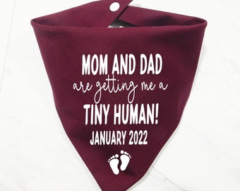 Pregnancy Announcement Dog Bandana - Pregnancy Announcement Dog Scarf