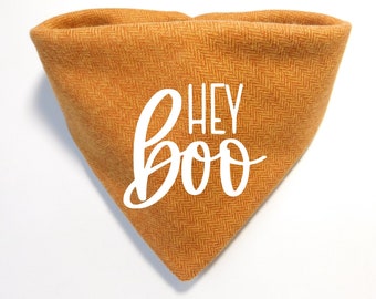 May include: Orange and white dog bandana with the text "Hey Boo" in white lettering.