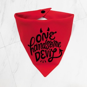 May include: A red pet bandana with the phrase "one handsome DEVIL" in black script. The bandana has a snap closure and is folded into a triangle shape. The design includes devil horns and a tail.