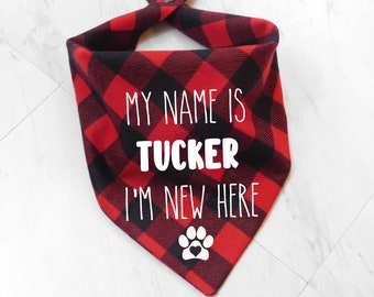 New Puppy Bandana - New Dog Bandana - I'm New Around Here Dog Scarf - Pink Puppy Bandana - Blue Puppy Bandana - Whoa Dog E