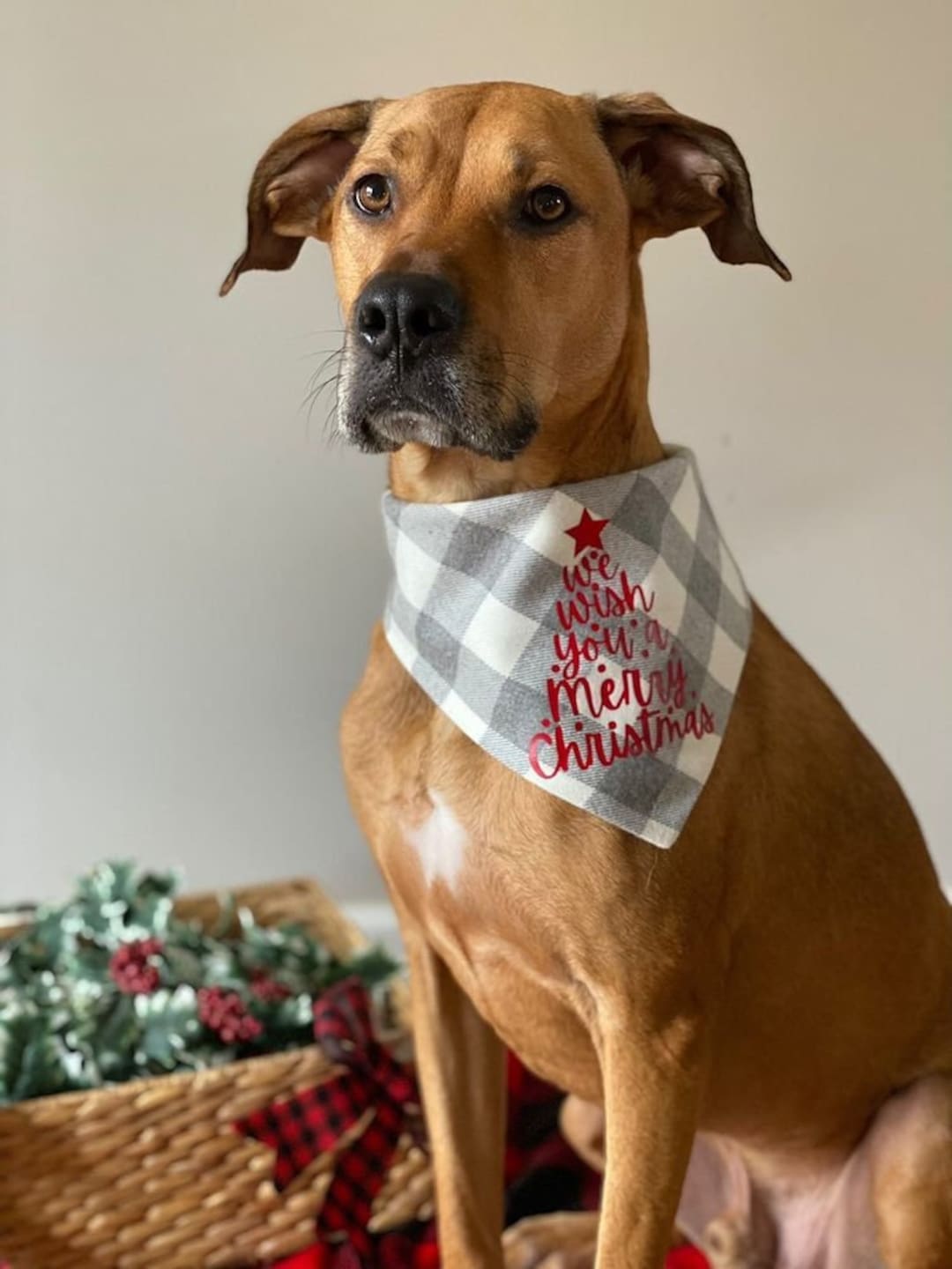 Christmas Dog Bandana Merry Christmas Dog Bandana We Wish You a Merry