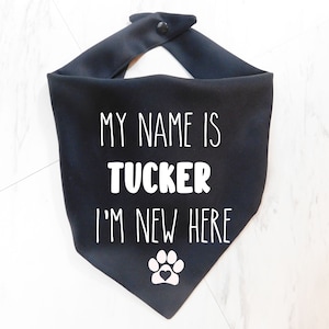 May include: Black dog bandana with white text that reads "My name is Tucker I'm new here" and a white paw print with a heart in the centre.
