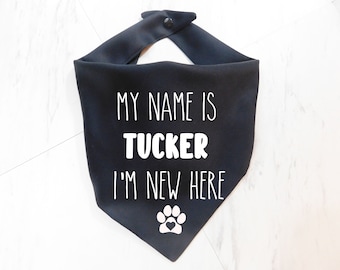 New Puppy Bandana - New Dog Bandana - I'm New Around Here Dog Scarf - Pink Puppy Bandana - Blue Puppy Bandana - Whoa Dog E