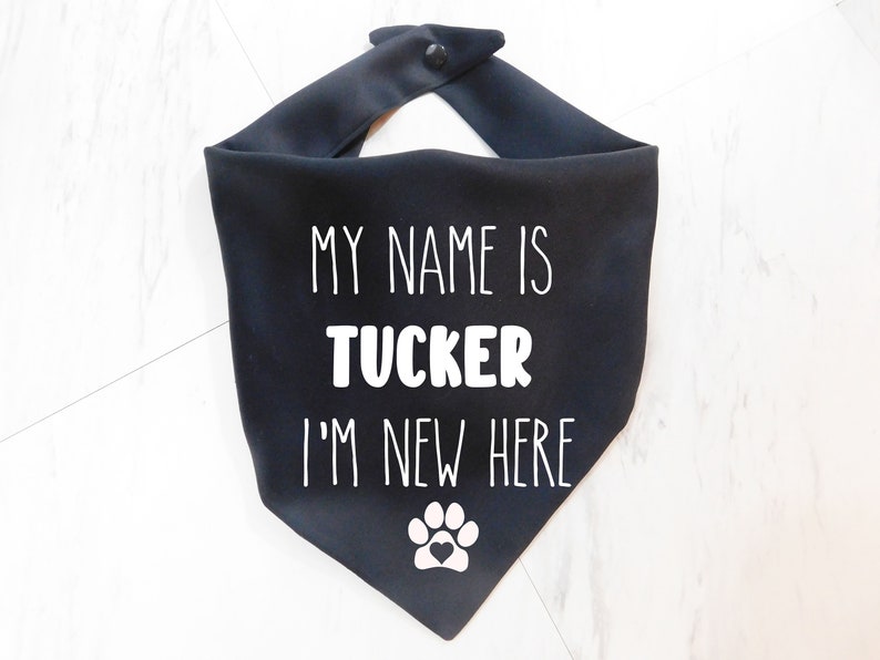 May include: Black dog bandana with white text that reads "My name is Tucker I'm new here" and a white paw print with a heart in the centre.