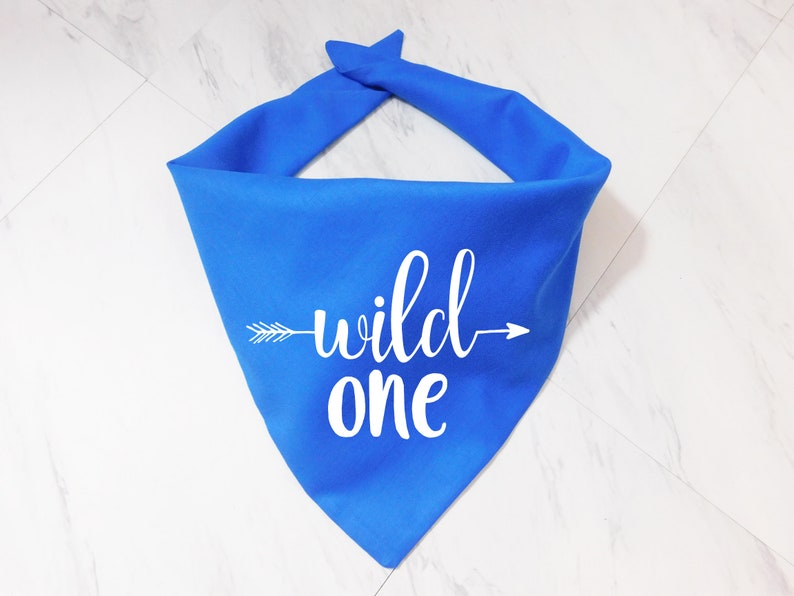 Girl Dog Birthday Bandana Wild One Birthday Dog One Year Old Dog Bandana Birthday Dog Scarf First Year Dog Bandana