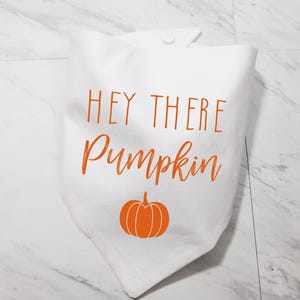 Hey There Pumpkin Pet Bandana  – Dog & Cat Halloween Snap Bandanna - Adjustable Snap Pet Scarf - Spooky Season Puppy or Kitten Triangle