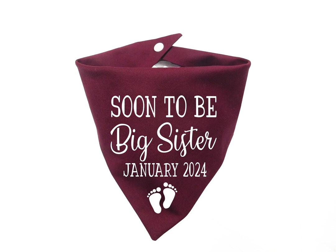 Soon to Be Big Sister Dog Bandana Big Sister Dog Scarf Etsy