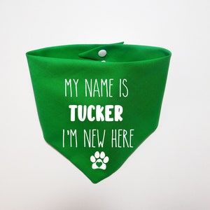 May include: Green dog bandana with white text that says "My name is Tucker I'm new here" and a white paw print with a red heart.